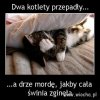 Opis zjadł