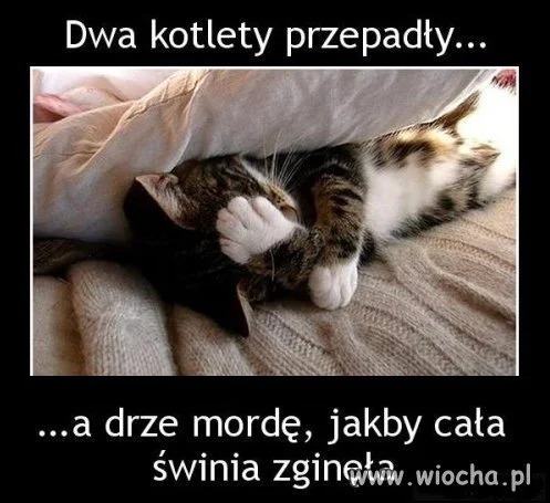 Opis zjadł