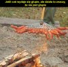 Matka potrzebą wynalazków