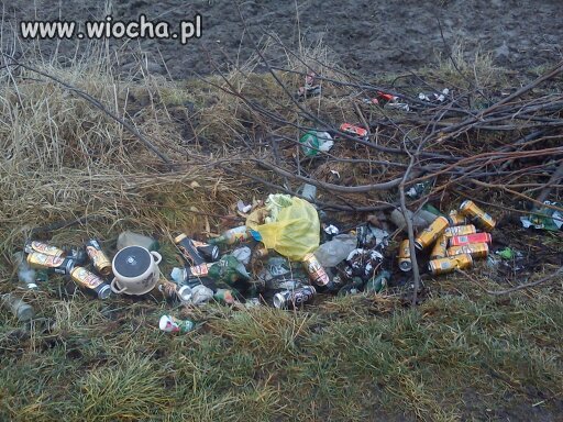 Wiosna 2016 pod Krakowem