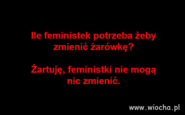 Feministki
