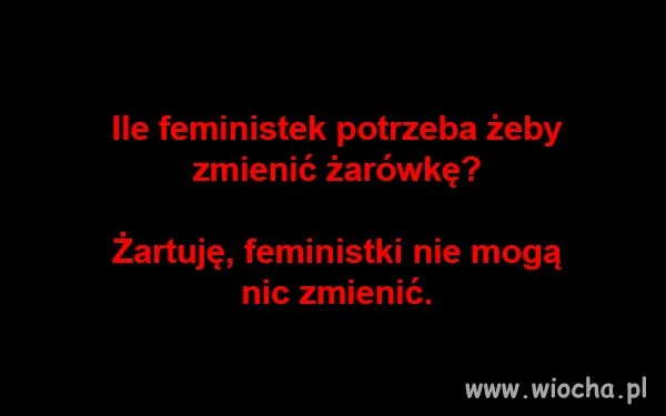 Feministki