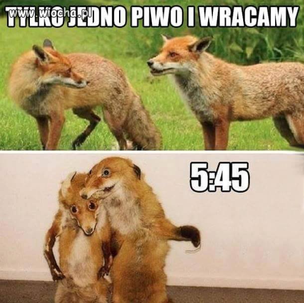Co ten alkohol potrafi zrobić z ...