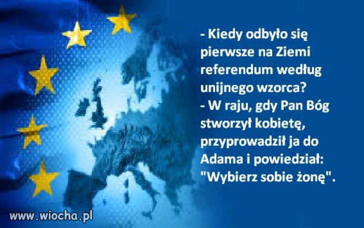 Unijne referendum mniej więcej tak wygląda...