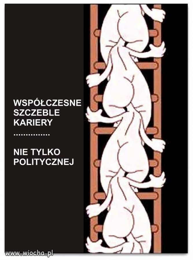 Coś w tym jest 