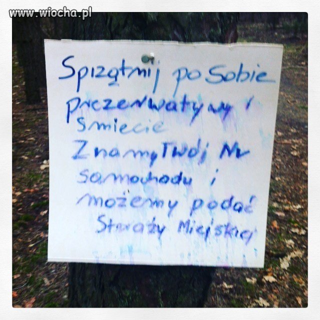 Donosiciel kontra romantycy