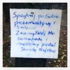 Donosiciel kontra romantycy