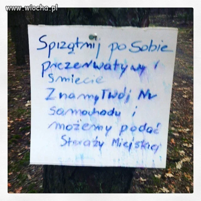 Donosiciel kontra romantycy
