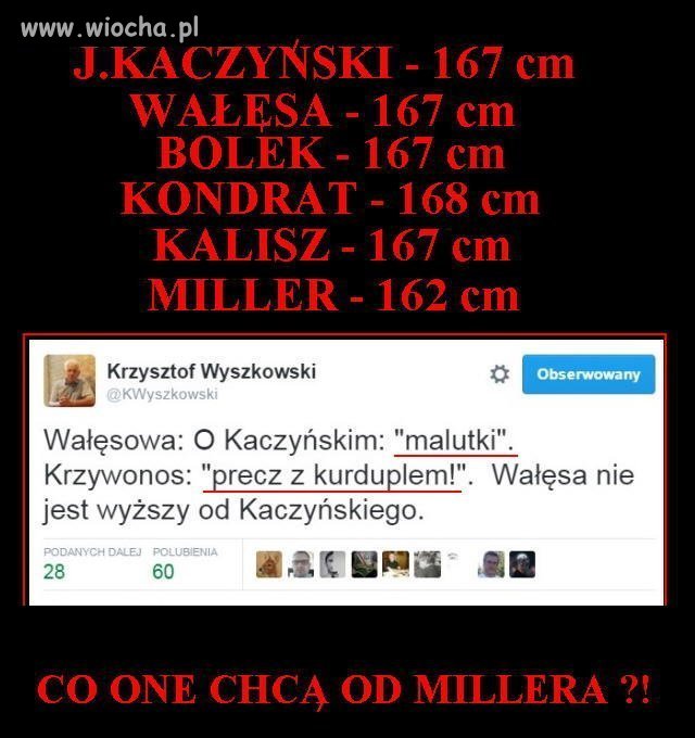 Pani Henryka i Danuta szaleją