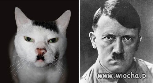 I jak tu nie wierzyć w reinkarnacje
