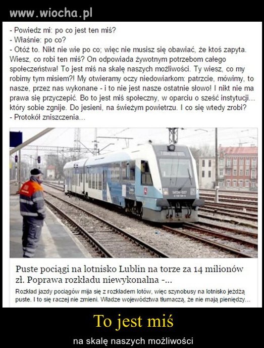 Bareja wiecznie żywy