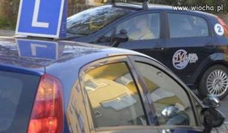 22-latka zdawała egzamin pod wpływem alkoholu. 
