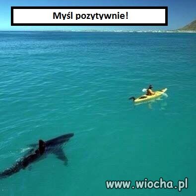 Nie pozostaje nic innego 