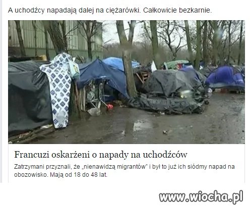 Ciapaci bezkarni za napady. 