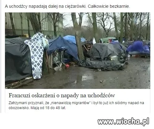 Ciapaci bezkarni za napady. 