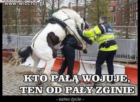 Stare powiedzenie
