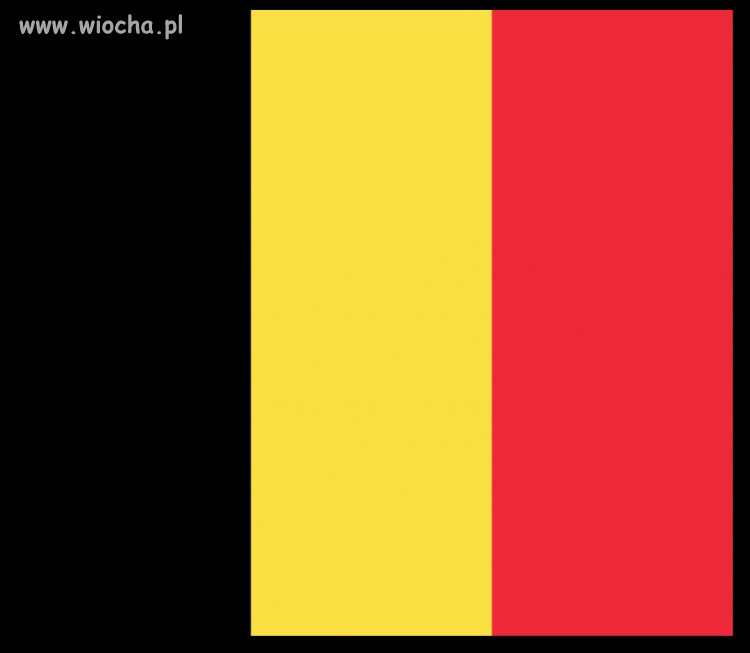 Tak wyglada flaga Belgii na zdjecie profilowe