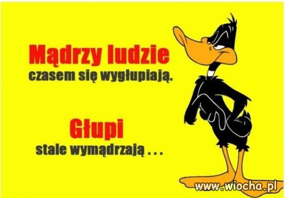 Brak opisu