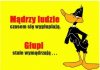 Brak opisu