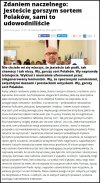 Pięknie jak wy to nazywacie polskojęzyczne gazety