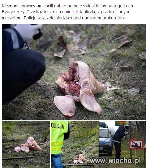 Kto wam za to płaci ?
