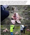 Kto wam za to płaci ?