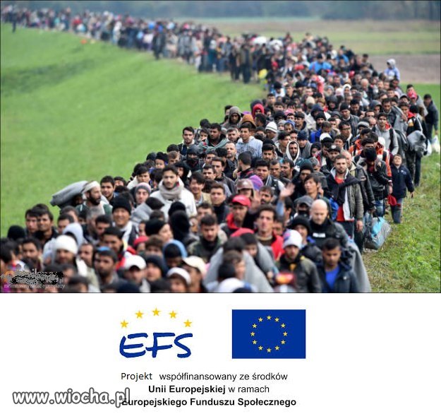 Projekt współfinansowany przez unię europejską 