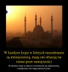Jak Kali ukraść krowę ...