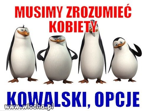 Zrozumieć 
