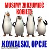 Zrozumieć 