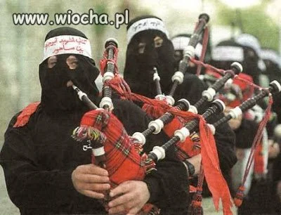 Coś nie halo 