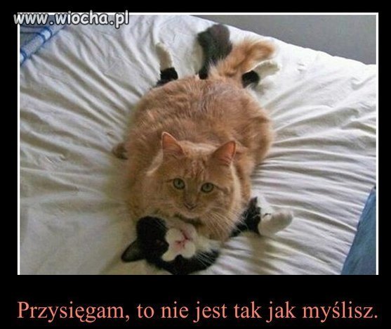 Zdjęcie zrobione w odpowiednim czasie