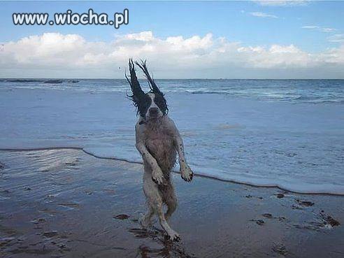 Dziś nad morzem trochę wieje.