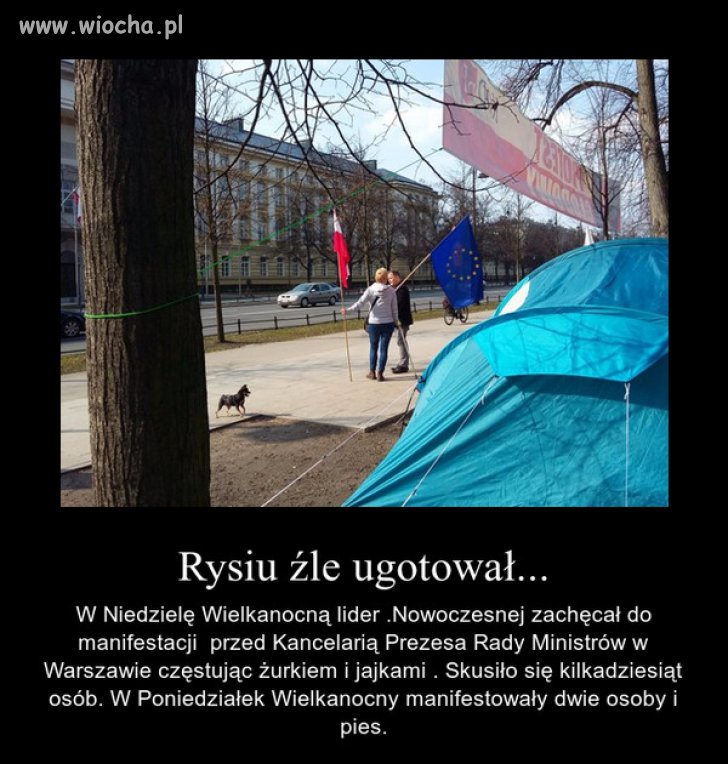 No i wszyscy się najedli... Wstydu