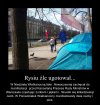 No i wszyscy się najedli... Wstydu