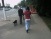 Moda męska