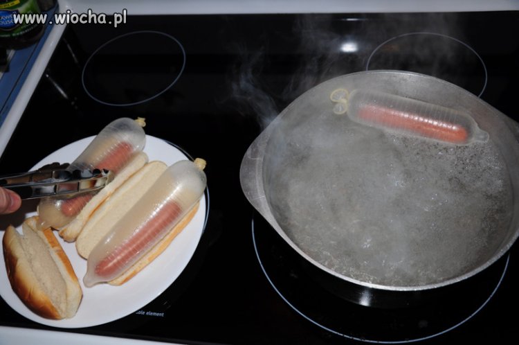 Hod-dog?