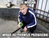 Ano idzie 
