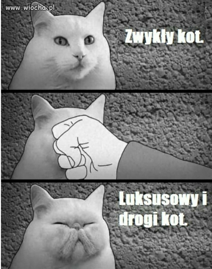 Cała tajemnica