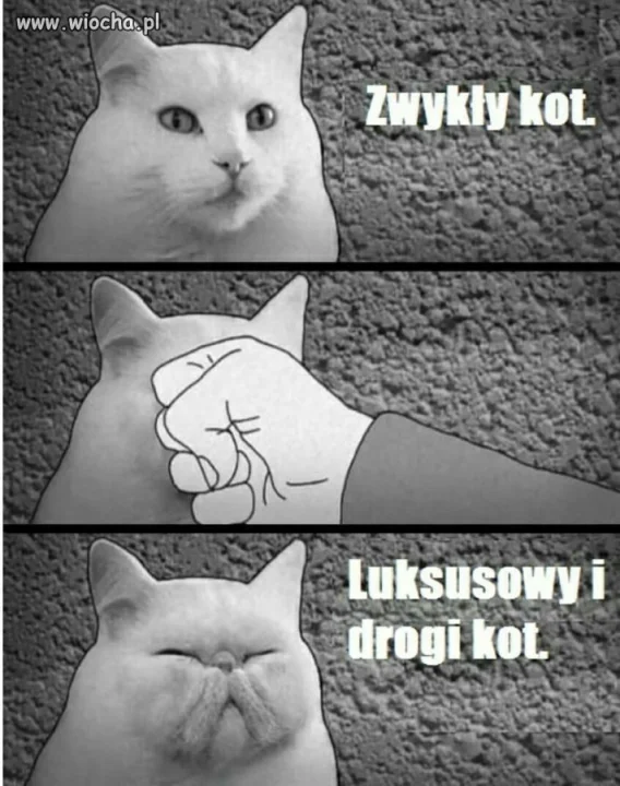 Cała tajemnica