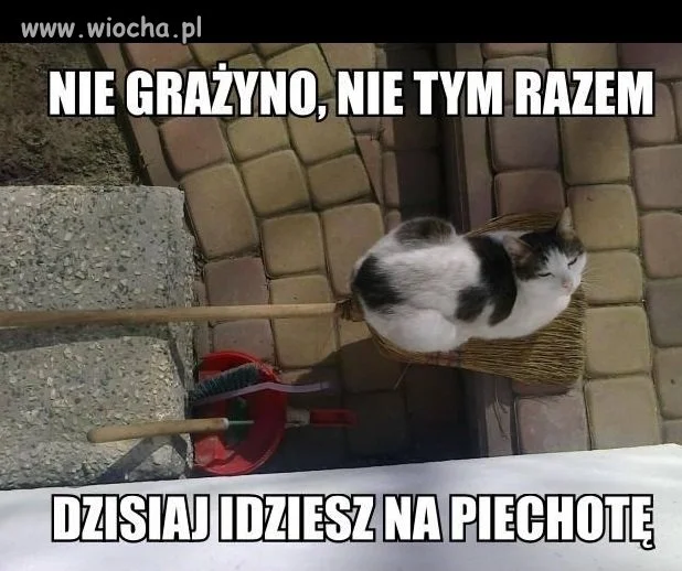 Teściowa