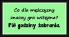 Gra wstępna męższczyzny