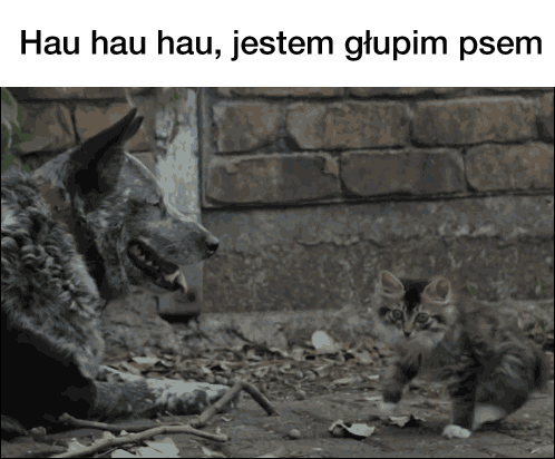 Hau hau hau