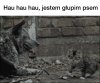 Hau hau hau