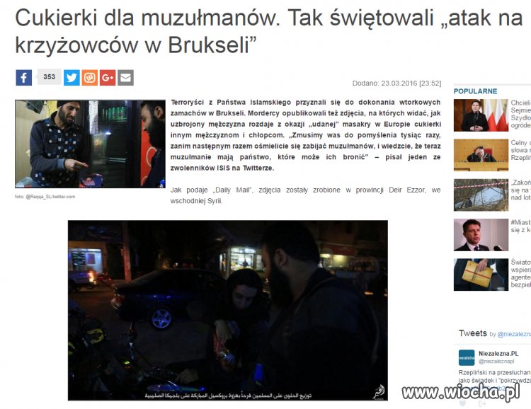 Belgijski debilizm poziom...poza skalą  