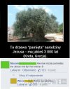 Kret vel osiołek