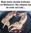 I po Świętach