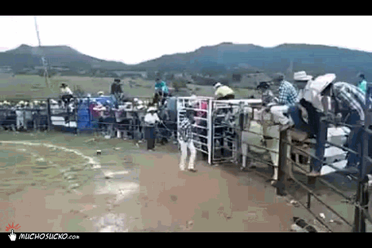 Rodeo