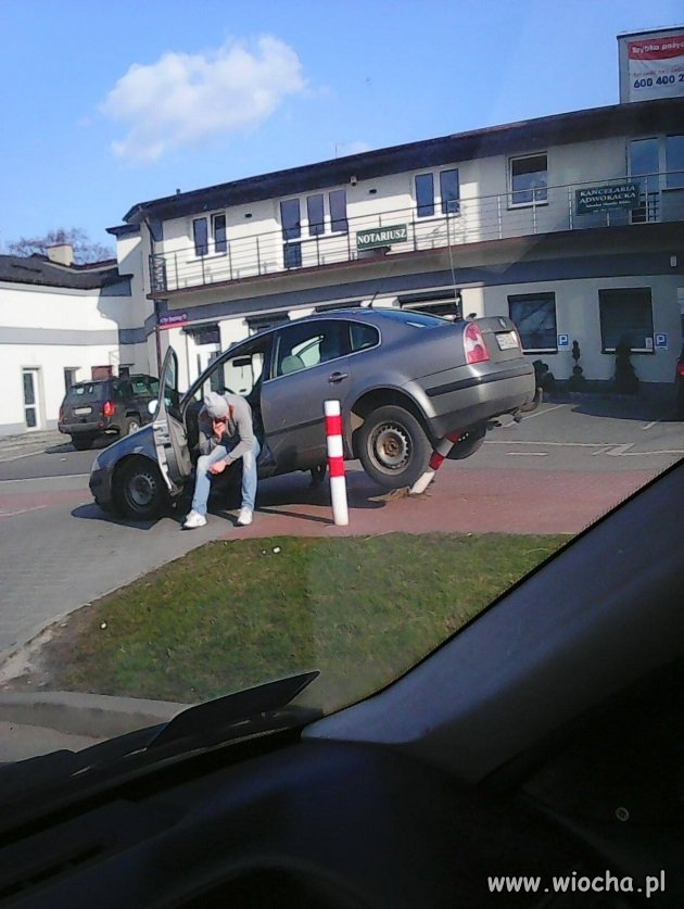 Mistrz parkowania
