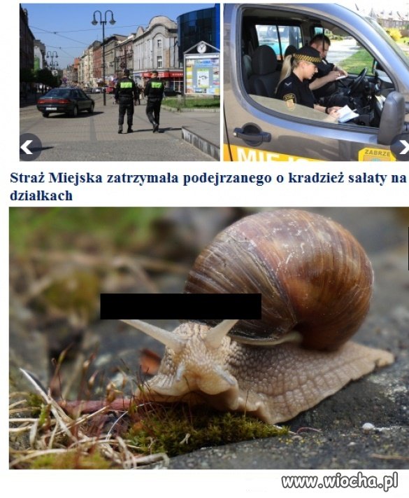 Straż Miejska.